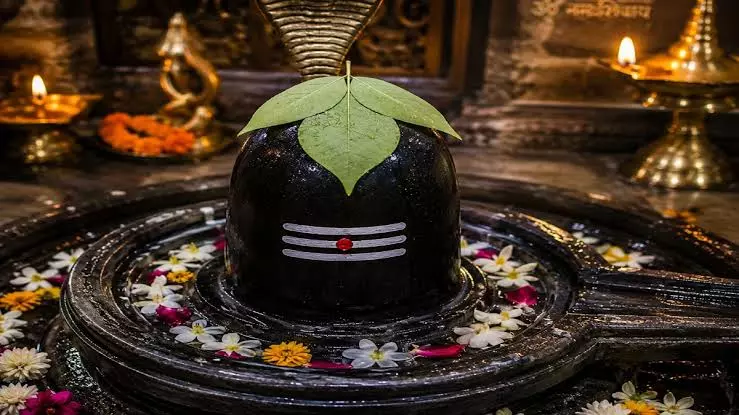 सोमवार और चतुर्दशी पर बेलपत्र तोड़ना क्यों माना गया है वर्जित? जानें शिवपुराण का महत्व सोमवार और चतुर्दशी पर बेलपत्र तोड़ना क्यों माना गया है वर्जित? जानें शिवपुराण का महत्व