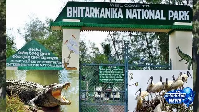 भीतरकनिका नेशनल पार्क 1 अगस्त को फिर से खुलेगा भीतरकनिका नेशनल पार्क 1 अगस्त को फिर से खुलेगा