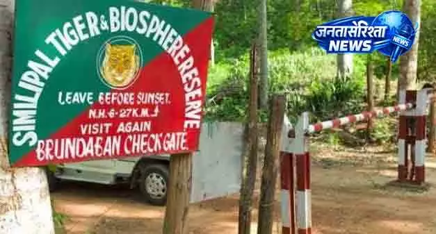 Similipal में 500 हेक्टेयर घास के मैदान का होगा पुनर्जीवन Similipal में 500 हेक्टेयर घास के मैदान का होगा पुनर्जीवन