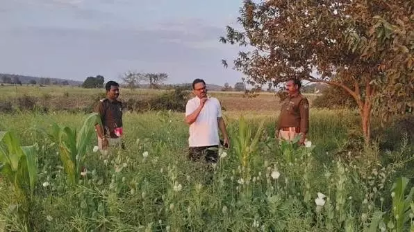 मोहनपुर और सिदाई में कथित ड्रग तस्करी नेटवर्क को लेकर प्रशासन अलर्ट मोहनपुर और सिदाई में कथित ड्रग तस्करी नेटवर्क को लेकर प्रशासन अलर्ट