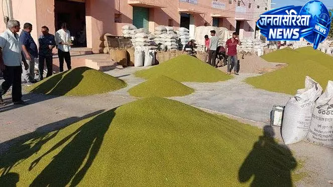 मूंग खरीद बढ़ाने की मांग, केंद्र से MP ने मांगा बड़ा कोटा मूंग खरीद बढ़ाने की मांग, केंद्र से MP ने मांगा बड़ा कोटा