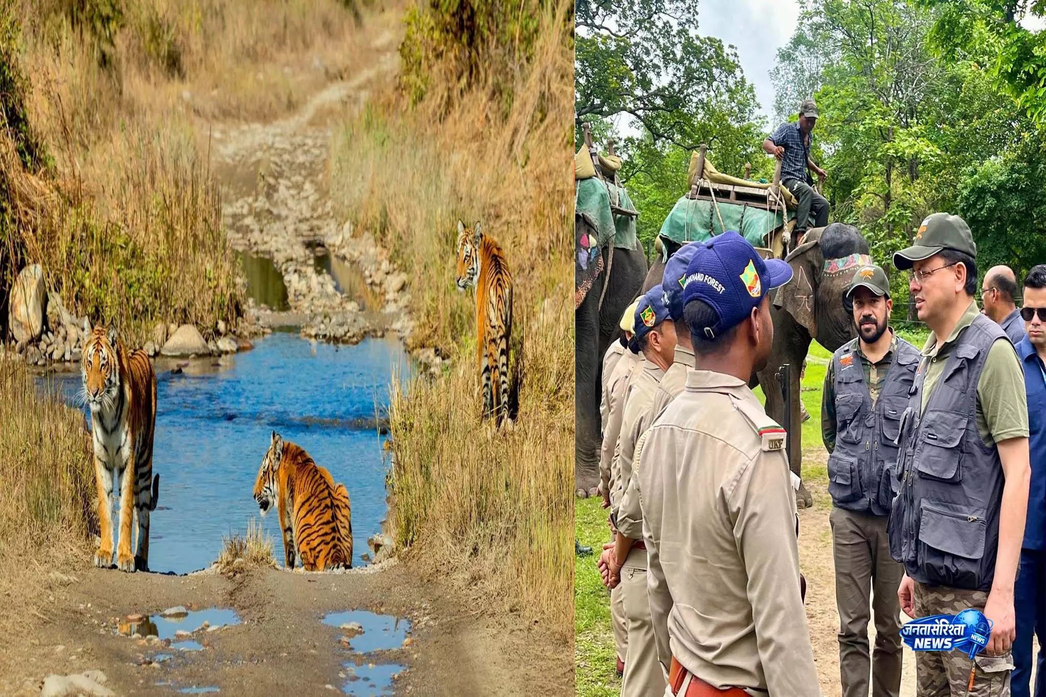 बाघ संरक्षण में उत्तराखंड की बड़ी छलांग, CM धामी ने गिनाईं उपलब्धियां बाघ संरक्षण में उत्तराखंड की बड़ी छलांग, CM धामी ने गिनाईं उपलब्धियां