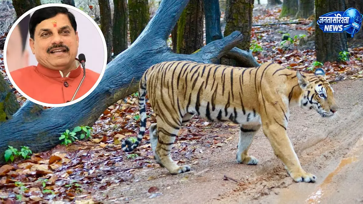 मध्य प्रदेश में 1,000 बाघों का लक्ष्य: CM यादव मध्य प्रदेश में 1,000 बाघों का लक्ष्य: CM यादव