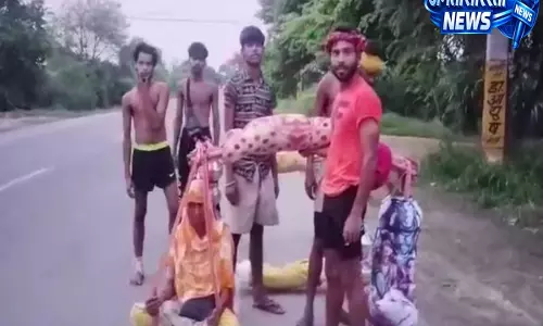 कांवड़ यात्रा में दिखी श्रवण कुमार की झलक, बुजुर्ग महिलाओं को पालकी में ले जा रहा श्रद्धालु