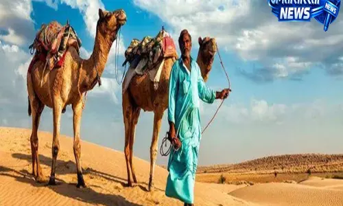 राजस्थान बॉर्डर पर सुरक्षा बढ़ी, सीमावर्ती इलाकों में अनावश्यक आवाजाही पर रोक राजस्थान बॉर्डर पर सुरक्षा बढ़ी, सीमावर्ती इलाकों में अनावश्यक आवाजाही पर रोक