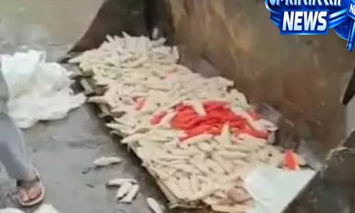मिलावटी खाद्य पदार्थों पर एक्शन, गाजियाबाद में चाप बनाने वाली फैक्ट्री सील मिलावटी खाद्य पदार्थों पर एक्शन, गाजियाबाद में चाप बनाने वाली फैक्ट्री सील