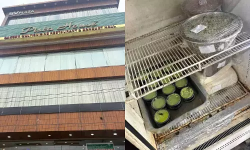 RC पुरम के पिस्ता हाउस में फूड सेफ्टी की कार्रवाई, जांच में मिलीं मक्खियां और जंग