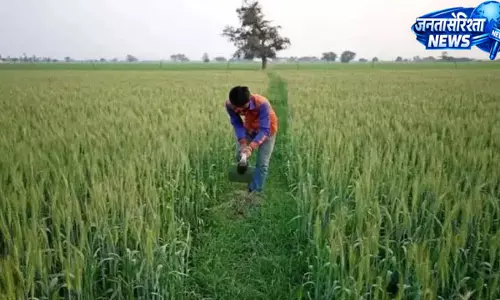 किसान को मिलेगा 1.20 लाख का मुआवजा किसान को मिलेगा 1.20 लाख का मुआवजा