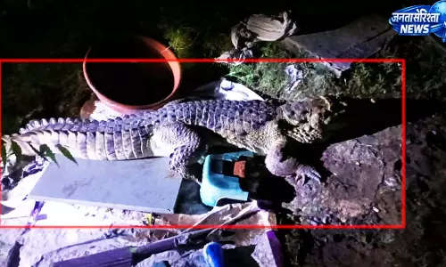 घर के बाथरूम में घुसा 7 फीट लंबा मगरमच्छ, एक घंटे बाद किया रेस्क्यू घर के बाथरूम में घुसा 7 फीट लंबा मगरमच्छ, एक घंटे बाद किया रेस्क्यू