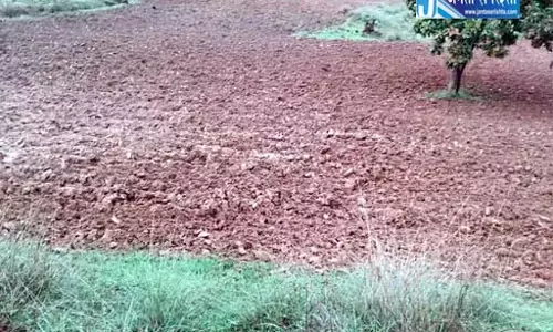 किसान के खेत में लगे धान को ट्रैक्टर से रौंदा, FIR दर्ज किसान के खेत में लगे धान को ट्रैक्टर से रौंदा, FIR दर्ज