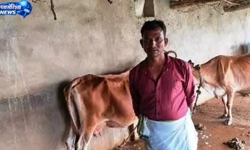 कृत्रिम गर्भाधान से बदली पशुपालक की तस्वीर, बढ़ा दुग्ध उत्पादन कृत्रिम गर्भाधान से बदली पशुपालक की तस्वीर, बढ़ा दुग्ध उत्पादन