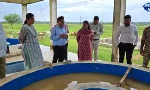 कलेक्टर ने मत्स्य बीज प्रक्षेत्र बसदई का किया निरीक्षण कलेक्टर ने मत्स्य बीज प्रक्षेत्र बसदई का किया निरीक्षण