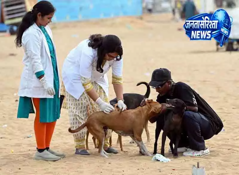 Panipat में 5 साल में 1.37 लाख डॉग बाइट केस Panipat में 5 साल में 1.37 लाख डॉग बाइट केस
