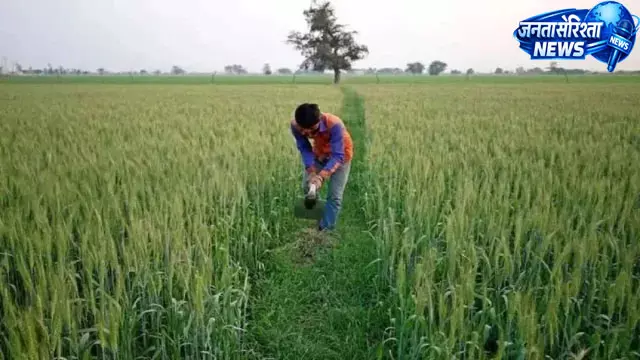 किसान को मिलेगा 1.20 लाख का मुआवजा किसान को मिलेगा 1.20 लाख का मुआवजा
