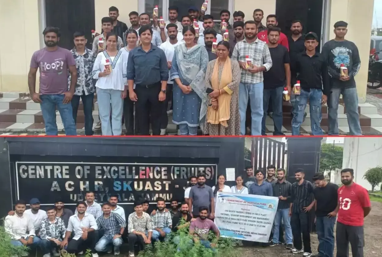 Jammu: बागवानी विकास के लिए वैज्ञानिक पद्धतियां अपनाने की अपील Jammu: बागवानी विकास के लिए वैज्ञानिक पद्धतियां अपनाने की अपील