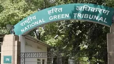 Kaithal: हरियाणा सरकार को एनजीटी का नोटिस, अगली सुनवाई 16 सितंबर Kaithal: हरियाणा सरकार को एनजीटी का नोटिस, अगली सुनवाई 16 सितंबर