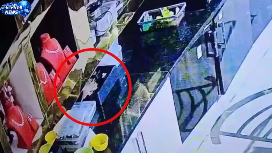 BREAKING: 10 लाख के गहने लेकर भागा चूहा, CCTV फुटेज ने खोला राज BREAKING: 10 लाख के गहने लेकर भागा चूहा, CCTV फुटेज ने खोला राज