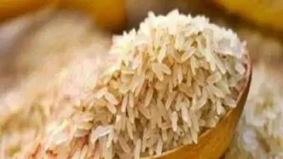 खाद्य सुरक्षा और इथेनॉल: सरकार बोली- टूटे चावल के उपयोग से महंगाई नहीं बढ़ रही खाद्य सुरक्षा और इथेनॉल: सरकार बोली- टूटे चावल के उपयोग से महंगाई नहीं बढ़ रही