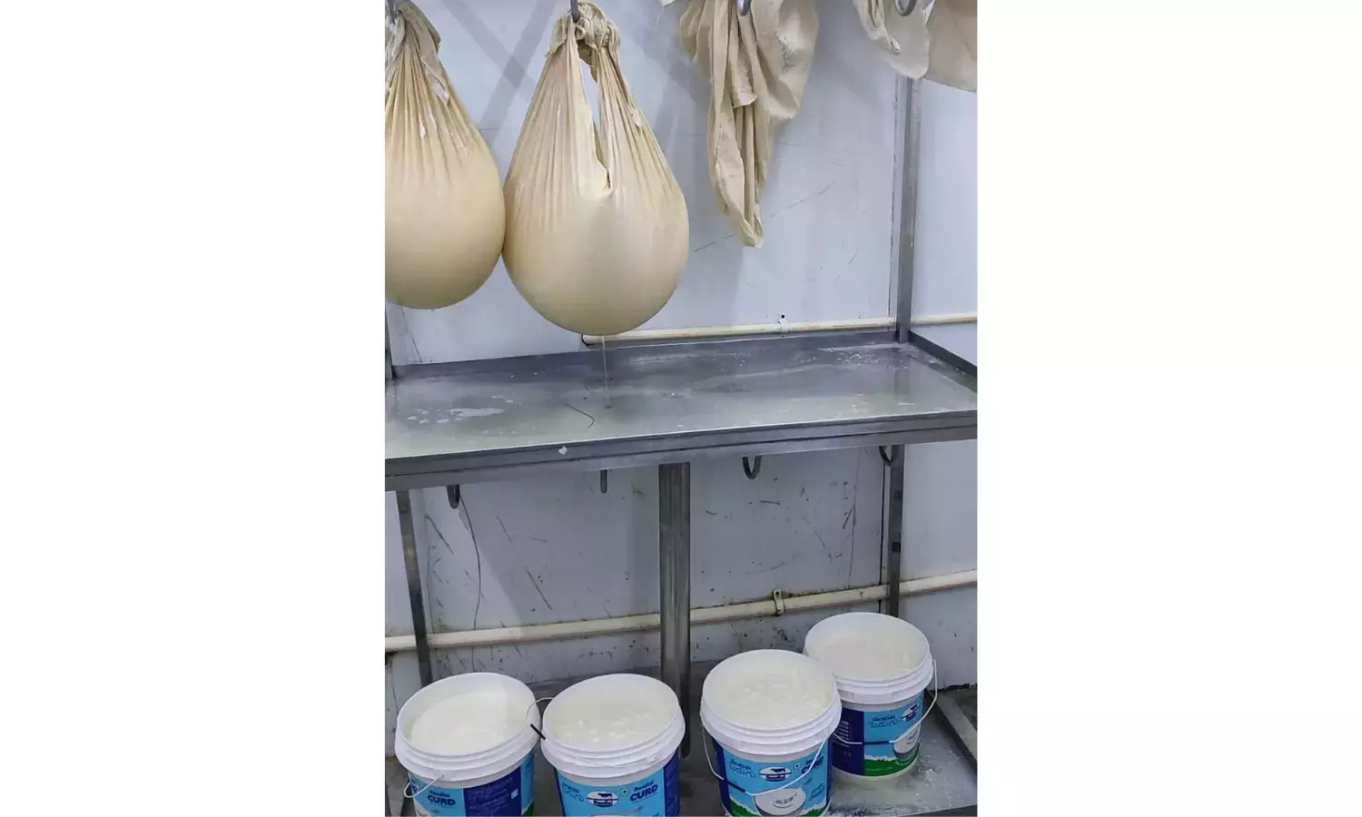 Telangana: घाटकेसर में ईटक्लब का लाइसेंस खाद्य सुरक्षा उल्लंघन के लिए निलंबित कर दिया गया Telangana: घाटकेसर में ईटक्लब का लाइसेंस खाद्य सुरक्षा उल्लंघन के लिए निलंबित कर दिया गया