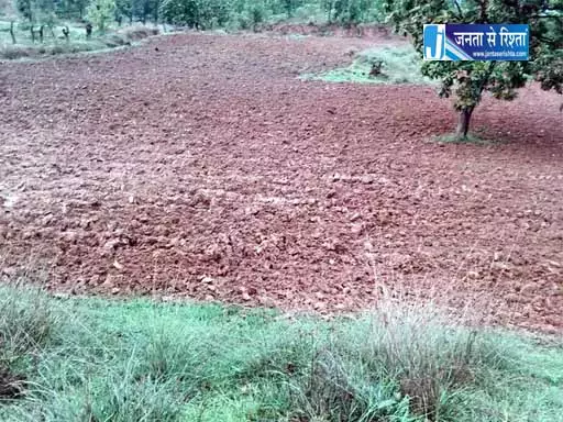 किसान के खेत में लगे धान को ट्रैक्टर से रौंदा, FIR दर्ज किसान के खेत में लगे धान को ट्रैक्टर से रौंदा, FIR दर्ज
