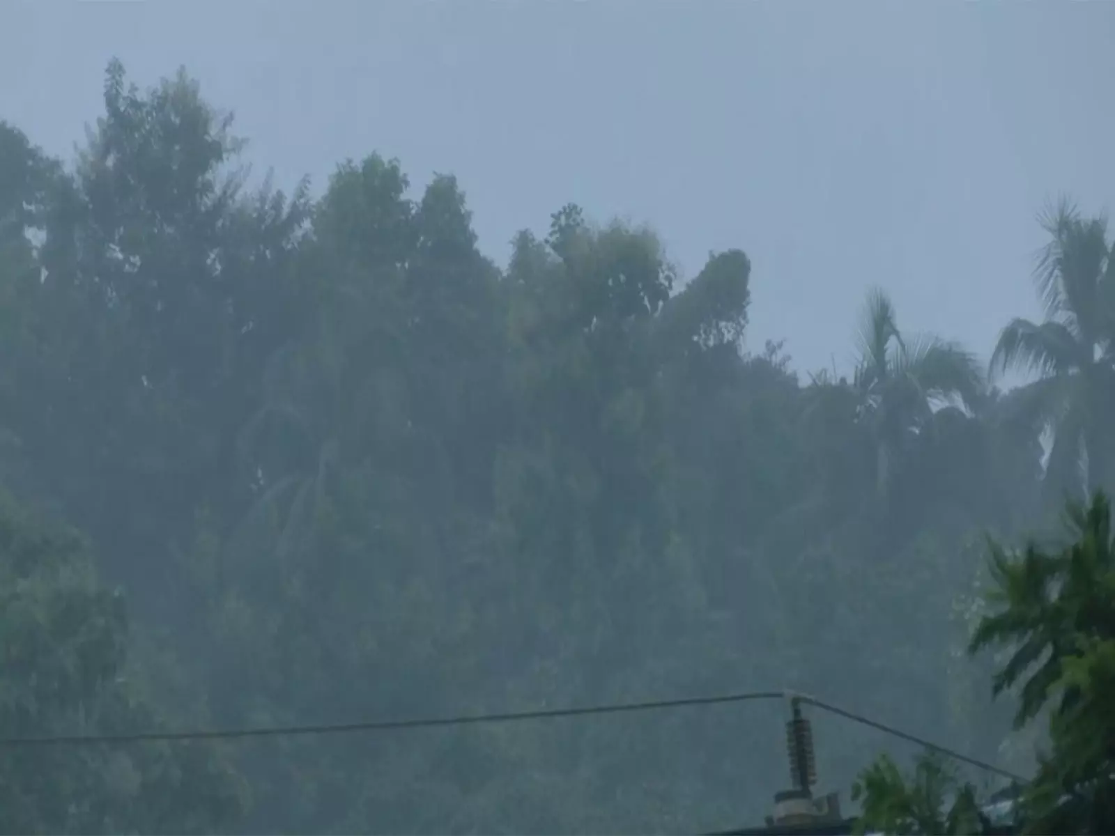 सूरत में भारी बारिश का रेड अलर्ट, एसपी ने लोगों से सतर्क रहने की अपील की सूरत में भारी बारिश का रेड अलर्ट, एसपी ने लोगों से सतर्क रहने की अपील की