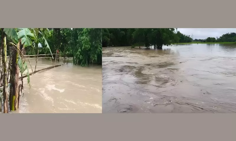 कांगड़ा नदी में अचानक आई बाढ़ से तटबंध टूटा, असम के लखीमपुर में गांव जलमग्न कांगड़ा नदी में अचानक आई बाढ़ से तटबंध टूटा, असम के लखीमपुर में गांव जलमग्न