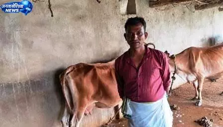 कृत्रिम गर्भाधान से बदली पशुपालक की तस्वीर, बढ़ा दुग्ध उत्पादन कृत्रिम गर्भाधान से बदली पशुपालक की तस्वीर, बढ़ा दुग्ध उत्पादन