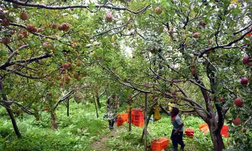 Himachal में जलवायु परिवर्तन बना चुनौती Himachal में जलवायु परिवर्तन बना चुनौती