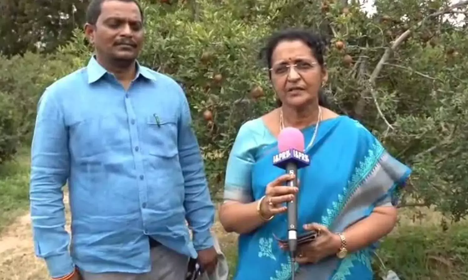 Andhra: किसानों से 31 जुलाई से पहले फसल बीमा कराने का आग्रह किया Andhra: किसानों से 31 जुलाई से पहले फसल बीमा कराने का आग्रह किया