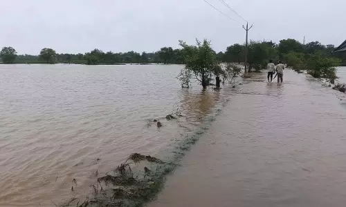 महासमुंद में मानसून मेहरबान: जिले में अब तक 724.7 मिमी औसत वर्षा महासमुंद में मानसून मेहरबान: जिले में अब तक 724.7 मिमी औसत वर्षा