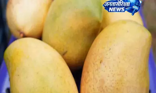 भारत ने पहली बार मालदीव को नीलम और तोतापुरी आम निर्यात किए भारत ने पहली बार मालदीव को नीलम और तोतापुरी आम निर्यात किए