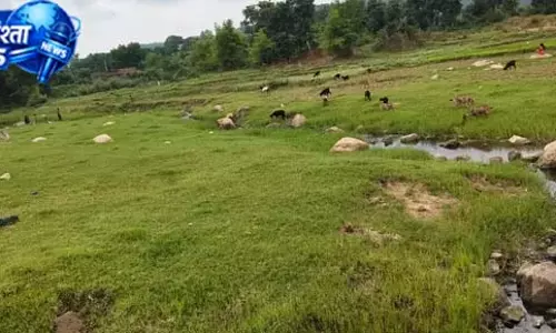 झारखंड में बालू कारोबार पर संकट, कम बारिश बनी वजह