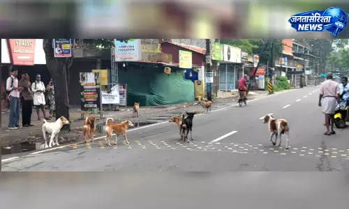 मन्नानचेरी में आवारा कुत्तों का आतंक, रेबीज से दहशत