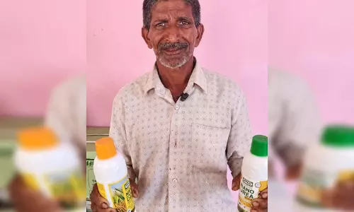 नैनो डीएपी एवं नैनो यूरिया ने बदली खेती की तस्वीर