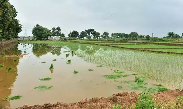 BRS का कहना है कि खेती के लिए भी पानी की आपूर्ति की जानी चाहिए BRS का कहना है कि खेती के लिए भी पानी की आपूर्ति की जानी चाहिए