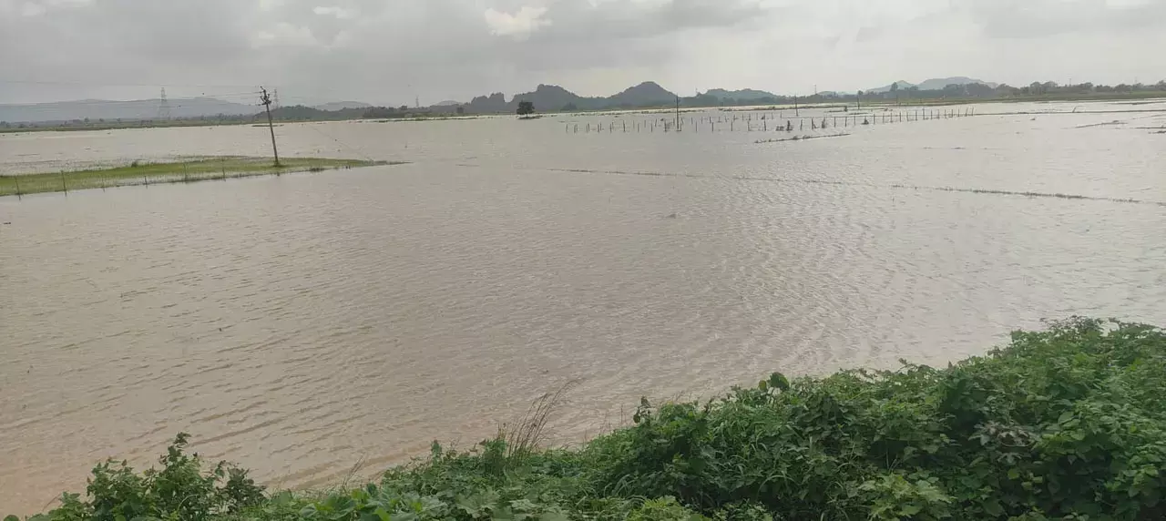 ओडिशा में बाढ़ का कहर जारी, जाजपुर में सात जगह टूटे तटबंध; कई इलाकों में बढ़ा जल संकट ओडिशा में बाढ़ का कहर जारी, जाजपुर में सात जगह टूटे तटबंध; कई इलाकों में बढ़ा जल संकट