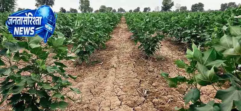 Chandigarh हुड्डा ने फसल बीमा योजना पर उठाए सवाल Chandigarh हुड्डा ने फसल बीमा योजना पर उठाए सवाल