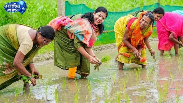 वैशाली की डीएम वर्षा सिंह खेत में उतरीं, महिलाओं के साथ की धान की रोपनी वैशाली की डीएम वर्षा सिंह खेत में उतरीं, महिलाओं के साथ की धान की रोपनी