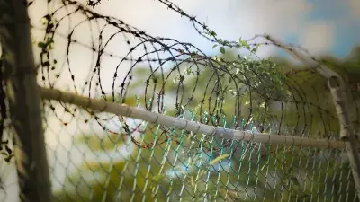 भारत-बांग्लादेश सीमा पर फेंसिंग तेज करने की तैयारी, मेघालय ने केंद्र से मांगी अनुमति भारत-बांग्लादेश सीमा पर फेंसिंग तेज करने की तैयारी, मेघालय ने केंद्र से मांगी अनुमति