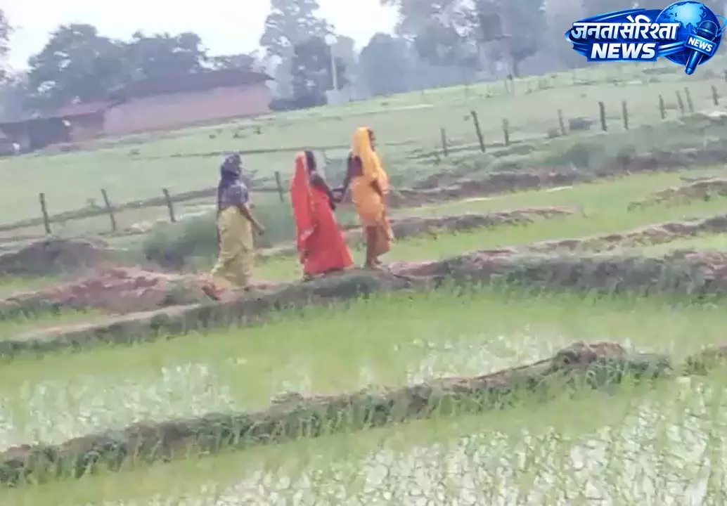 CG: खेत बना प्रसूति कक्ष, गर्भवती ने खेत में दिया बच्चे को जन्म CG: खेत बना प्रसूति कक्ष, गर्भवती ने खेत में दिया बच्चे को जन्म