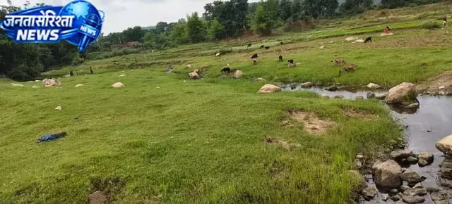 झारखंड में बालू कारोबार पर संकट, कम बारिश बनी वजह झारखंड में बालू कारोबार पर संकट, कम बारिश बनी वजह