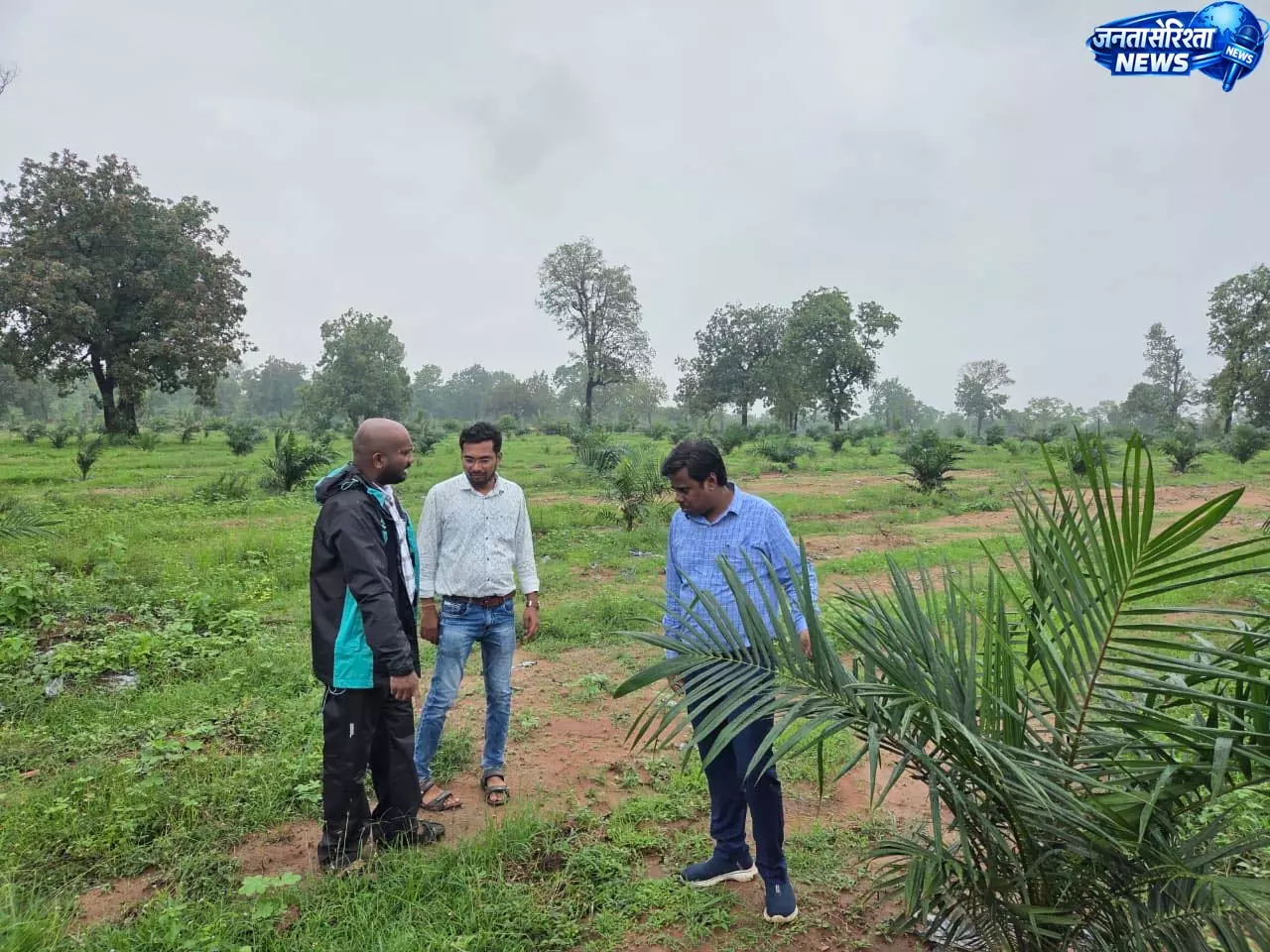 ऑयल पाम की खेती से बदली किसानों की तकदीर ऑयल पाम की खेती से बदली किसानों की तकदीर