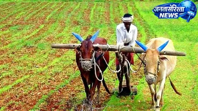 किसानों की योजना का पूरा हिसाब आया सामने किसानों की योजना का पूरा हिसाब आया सामने