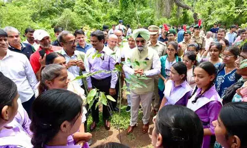 DDA ने दिल्ली में लगाए 1 लाख से अधिक देसी पेड़ और झाड़ियां DDA ने दिल्ली में लगाए 1 लाख से अधिक देसी पेड़ और झाड़ियां