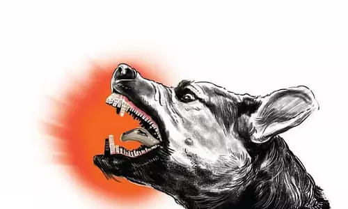तमिलनाडु में कुत्तों के काटने की बढ़ती घटनाएं बनीं चिंता का विषय
