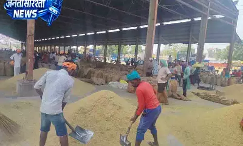 Karnal मंडियों में पूसा-1509 की आवक बढ़ी Karnal मंडियों में पूसा-1509 की आवक बढ़ी