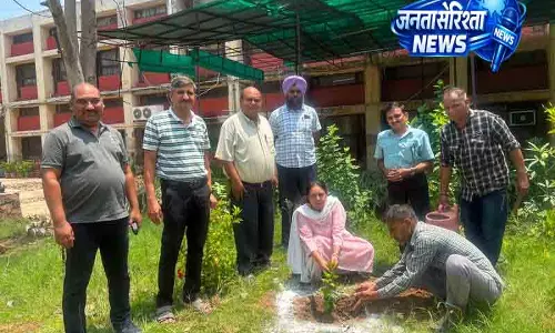Ambala पॉलिटेक्निक में चला पौधारोपण अभियान Ambala पॉलिटेक्निक में चला पौधारोपण अभियान