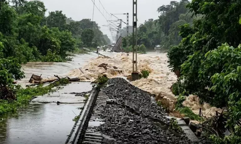 नागालैंड में राहत सामग्री वितरण के निर्देश, NSDMA और DDMA का एक्शन नागालैंड में राहत सामग्री वितरण के निर्देश, NSDMA और DDMA का एक्शन