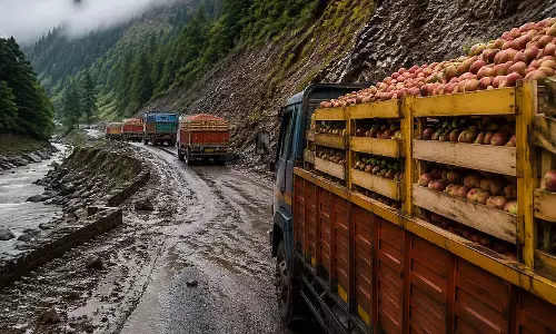 कश्मीर की सेब अर्थव्यवस्था पर संकट, हाईवे जाम को लेकर सियासी घमासान तेज कश्मीर की सेब अर्थव्यवस्था पर संकट, हाईवे जाम को लेकर सियासी घमासान तेज