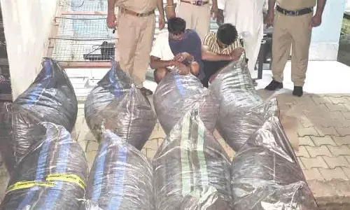 Himachal: ऊना पुलिस ने 4.5 क्विंटल पोस्ता भूसा ज़ब्त किया; 2 गिरफ़्तार Himachal: ऊना पुलिस ने 4.5 क्विंटल पोस्ता भूसा ज़ब्त किया; 2 गिरफ़्तार
